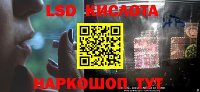 шишки Новозыбков