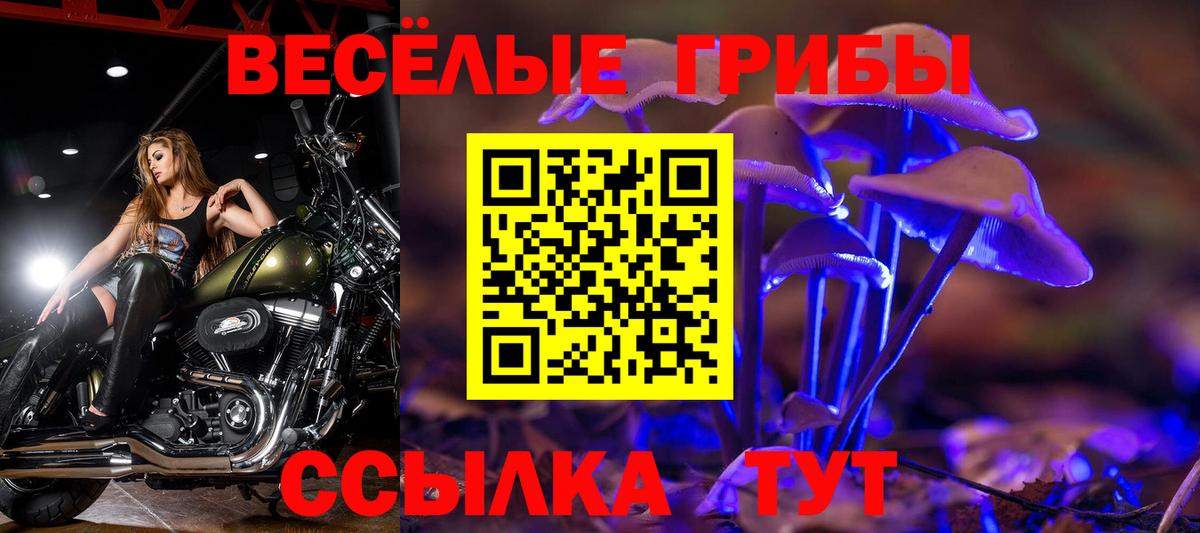 Славгород  Галлюциногенные грибы мухоморы  Вход с VPN  Псилоцибиновые грибы ЛСД 