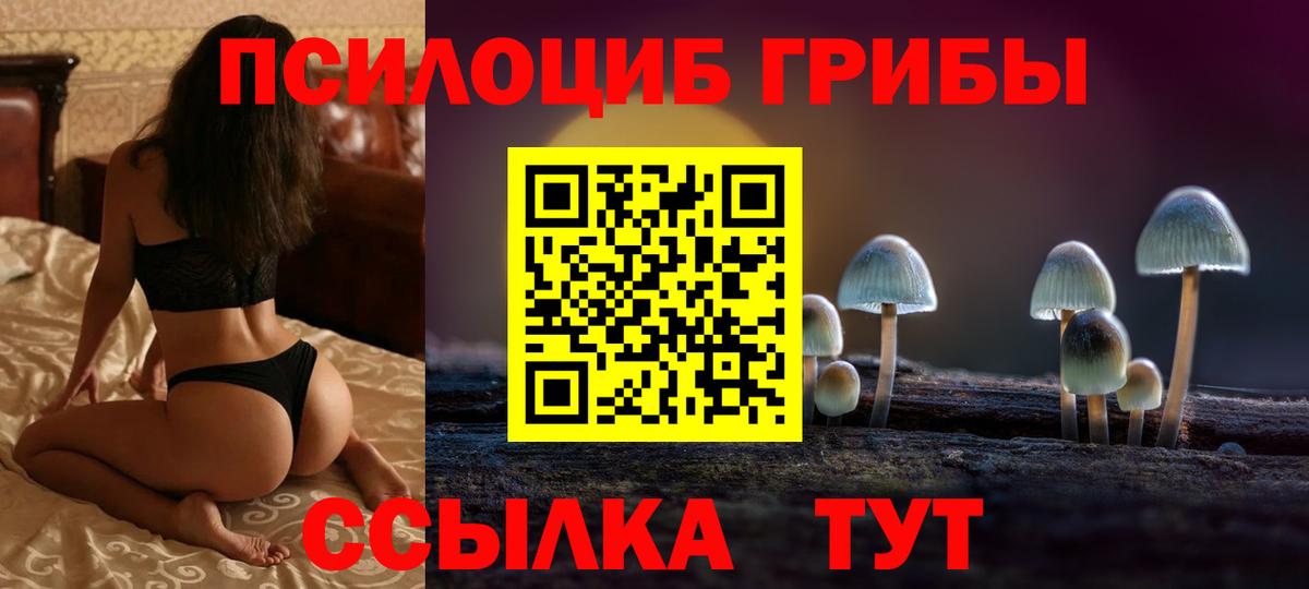 Псилоцибиновые грибы GOLDEN TEACHER Славгород